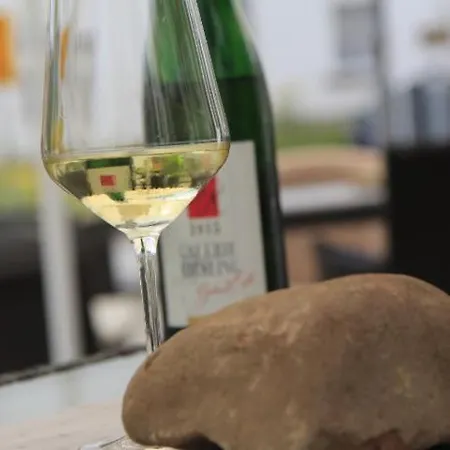 Hotel Galerie Riesling 3*