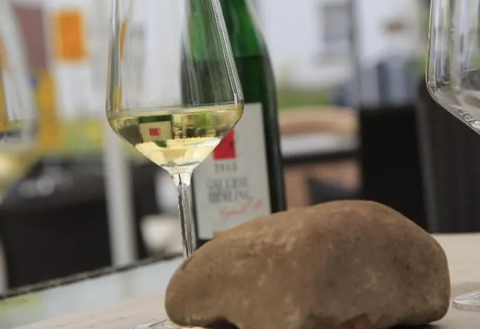 Hotel Galerie Riesling 3*